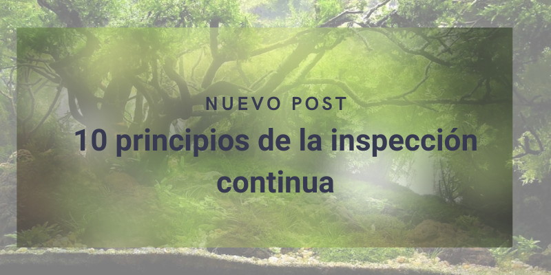 Portada de 10 principios de la inspección continua