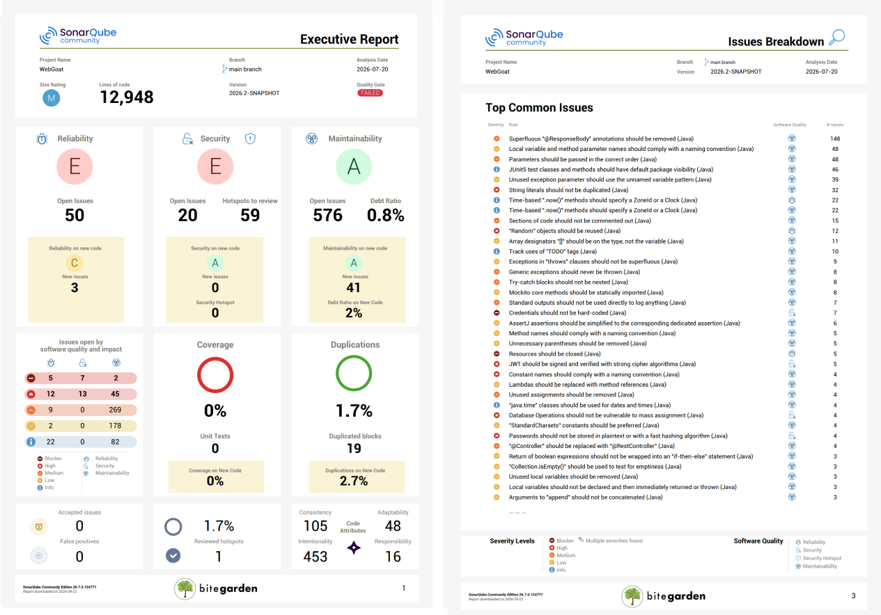 Ejemplo de PDF extraido de SonarQube