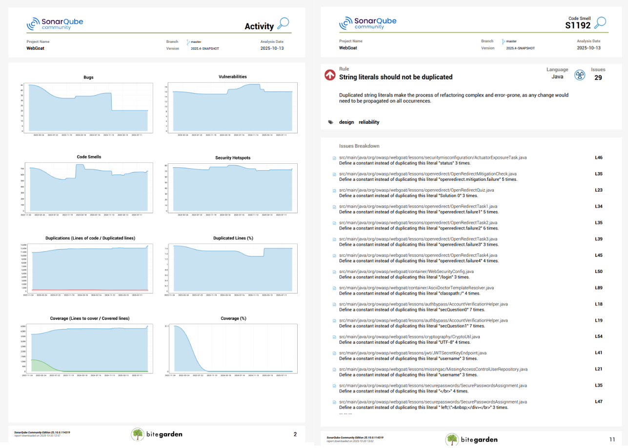 Página de actividad del Report Plugin for SonarQube