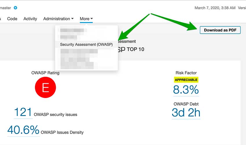 Export OWASP report in PDF cover